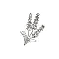 Single continuous line drawing of beauty fresh lavandula for garden logo. Printable decorative lavender flower for home wall decor