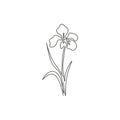 Single continuous line drawing beauty fresh perennial plants for home art wall decor poster print. Decorative iris flower for