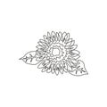 Single continuous line drawing of beauty fresh sunflower for park logo. Decorative helianthus summer flower concept home wall Royalty Free Stock Photo