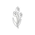 Single continuous line drawing of beauty fresh tulip for garden logo identity. Decorative Netherlands nationality flower concept