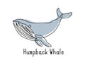 Single continuous line drawing of humpback whale for marine company logo identity