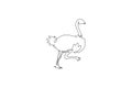 Single continuous line drawing of cut ostrich bird run fast. Endangered animal national park conservation. Safari zoo concept. Royalty Free Stock Photo