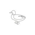 Single continuous line drawing of cute mallard for farm logo identity. Waterfowl duck mascot concept for animal livestock icon.