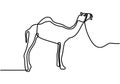 Single continuous line drawing of desert Arabic camel for logo identity. Cute dromedary animal concept for national zoo icon. One Royalty Free Stock Photo