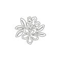 Single continuous line drawing of fresh beauty adenium for garden logo. Printable poster decorative desert rose flowers concept