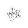 Single continuous line drawing of healthy organic mint leaves for farm logo identity. Fresh mentha plant concept for plantation