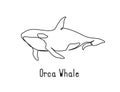 Single continuous line drawing of orca whale for marine company logo identity