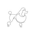 Single continuous line drawing of simple cute poodle puppy dog icon. Pet animal logo emblem vector concept. Modern one line draw Royalty Free Stock Photo