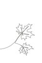 Single continuous line drawing spring maple leaf. Botany style concept for posters, wall art, tote bag, mobile case, t-shir,