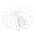 Single continuous line drawing of whole big round healthy organic pumpkin for orchard logo identity. Fresh fall fruitage