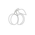 Single continuous line drawing of whole healthy organic apricot for orchard logo identity. Fresh fruitage concept for fruit garden