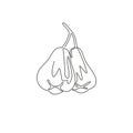 Single continuous line drawing of whole healthy organic bell fruits for orchard logo identity. Fresh rose apple fruitage concept