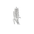 Single continuous line drawing of whole healthy organic wheat grain for farm logo identity. Fresh staple food concept for