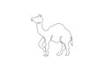 Single continuous line drawing of wild Arabian camel. Endangered animal national park conservation. Safari zoo concept. Trendy one Royalty Free Stock Photo