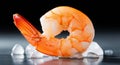 Single Cooked Shrimp on Ice with Dark Background Royalty Free Stock Photo