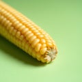 A single corn kernel close up showing intricate texture on a pastel green background