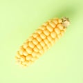 A single corn kernel close up showing intricate texture on a pastel green background