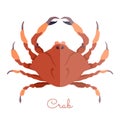 Single Crab in flat style isolated on white