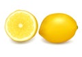 Single cross section of citron. Vector Royalty Free Stock Photo