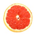 Single cross section of grapefruit