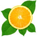 Single cross section of orange with green leaf Royalty Free Stock Photo