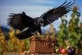 a single crow pulling open a picnic basket to reach for food