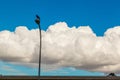A single crow sitting on top of a street light with white clouds and blue skies