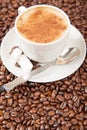 Single cup of cappuccino surrounded by coffee beans Royalty Free Stock Photo