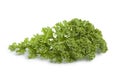 Single curly kale leaf Royalty Free Stock Photo