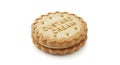 Single custard cream biscuit with embossed text, isolated on white background Royalty Free Stock Photo