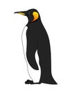 Single cute emperor penguin with yellow beak & spots, seabird for logo, pattern or emblem