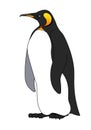 single cute emperor penguin with yellow beak & spots, seabird for logo, pattern or emblem