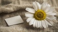 A single daisy with a blank card resting on a textured burlap surface in a soft light setting Royalty Free Stock Photo