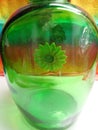 Daisy flower in a green glass bottle, with rainbow background Royalty Free Stock Photo