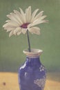 Daisy In A Small Blue Vase