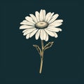 Vintage Minimalistic Daisy Vector Illustration