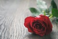 Single dark red rose on wood background Royalty Free Stock Photo