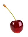 Single dark-red sweet-cherry Royalty Free Stock Photo