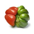 Single deformed fresh red and green bell pepper, Conjoined twins, close up on white background