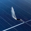 Natures Touch - A Feather on a Solar Panel Royalty Free Stock Photo