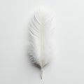 A single, delicate white feather lying on a light gray surface. The feather\'s barbs display Royalty Free Stock Photo