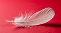 Single Delicate White Feather Lying on a Vibrant Red Surface background Royalty Free Stock Photo