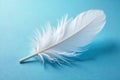 A single delicate white feather resting on a smooth, light blue surface, a symbol of purity and tranquility. Generative AI Royalty Free Stock Photo