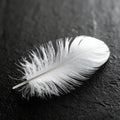 Gentle White Feather on a Textured Black Surface Royalty Free Stock Photo