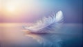A single, delicate white feather rests gently on a reflective surface, bathed in the soft glow of a pastel sunrise or sunset. Royalty Free Stock Photo