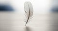 A single, delicate white feather stands upright on a smooth surface, casting a subtle shadow. The Royalty Free Stock Photo