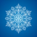 Single detailed snowflake ornament