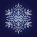 Single detailed snowflake