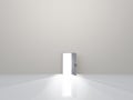 Single door in pure white space