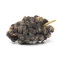 Single dried black mulberry close up